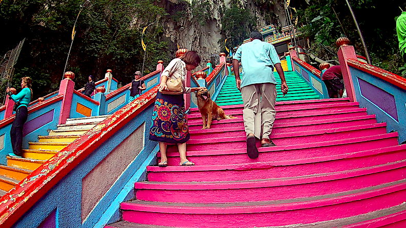 Friendly dog at the steps to the Batu Caves