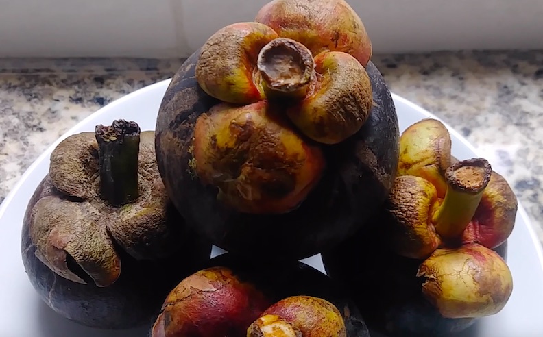 Mangosteen