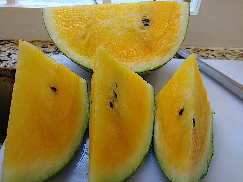 Cutout of Yellow water melon