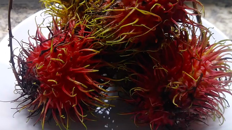 Rambutan on a plate