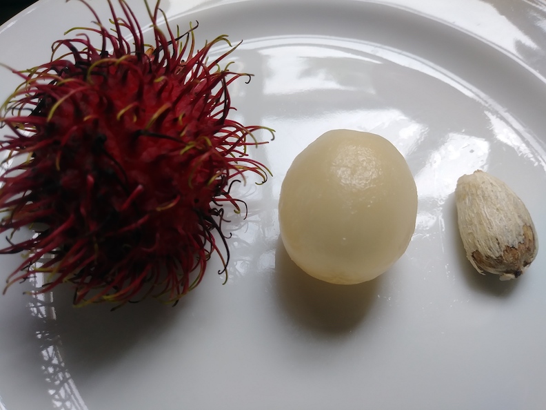 Rambutan outside of shell with seed