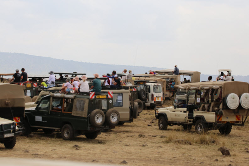 Party Animals by Mara River, Maasai Mara Nature Reserver, Kenya