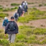 Point Bennett Trail on San Miguel Island