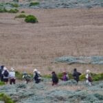 Point Bennett Trail on San Miguel Island