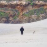 On the beach at Cuyler Harbor, San Miguel Island