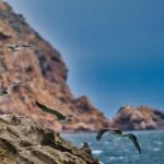 On the beach at Cuyler Harbor, San Miguel Island