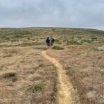Point Bennett Trail on San Miguel Island