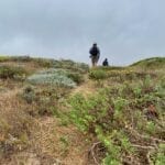 Point Bennett Trail on San Miguel Island