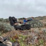 caliche forest