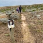 Point Bennett Trail on San Miguel Island