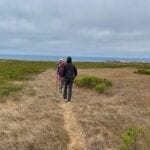 Point Bennett Trail on San Miguel Island