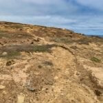 Point Bennett Trail on San Miguel Island
