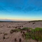 Looking at San Miguel Island Campground
