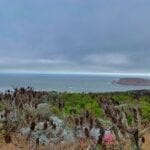At Cabrillo Monument looking at Cuyler Harbor