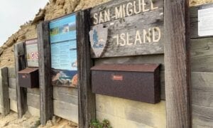 Welcome to San Miguel Island