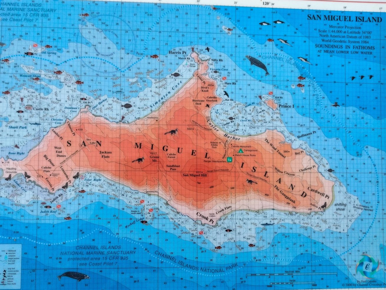 San Miguel island topographical map